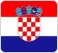 Hrvatski